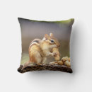 Recherche de chipmunk coussins Nature