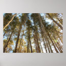 Recherche de paisible photographie Calme