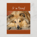 Recherche de je vous pardonne cartes postales Chien