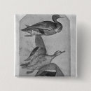 Recherche de pisanello badges Bec