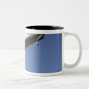 Recherche de approche tasses La floride