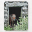 Recherche de shetland tapis souris Poney de shetland