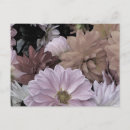 Zoek naar witte dahlia briefkaarten Roze