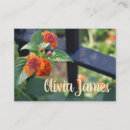 Recherche de fleurs oranges cartes visite Floral