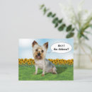 Recherche de yorkie cartes postales Fleurs