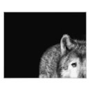 Recherche de copie de loup posters Noir