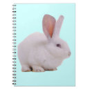 Recherche de lapin kawaii bureau école Animal