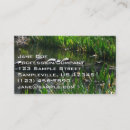 Recherche de tortue verte cartes visite Tortues