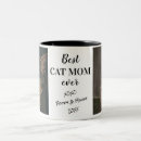 Recherche de maman de chat tasses Animaux domestiques