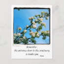 Zoek naar quotes briefkaarten Spiritueel