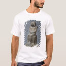 Recherche de ankh tshirts L'egypte