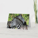 Recherche de tanzanie vœux cartes Photographie