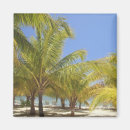Recherche de touriste magnets Destinations
