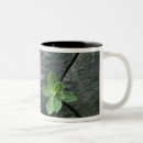 Recherche de criqué tasses Dehors