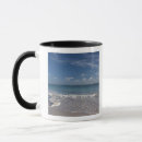 Recherche de cana de punta tasses Plage