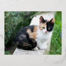 Recherche de dore cartes postales Fantôme