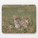 Recherche de guépard tapis souris Bébé