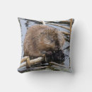 Recherche de castor coussins Brun