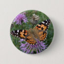 Zoek naar oranje vlinder buttons Insect
