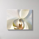 Zoek naar witte orchidee kunst Elegant