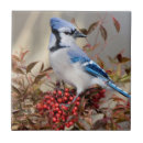 Zoek naar bamboo tegels Vogel