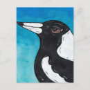 Recherche de oiseau australien cartes postales Magpie