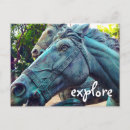 Recherche de chevaux cartes postales Photographie