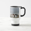 Recherche de chien de berger de shetland tasses Colley miniature