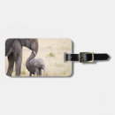 Recherche de éléphant photographie Afrique