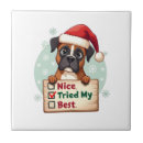 Recherche de boxer carreaux Chiot