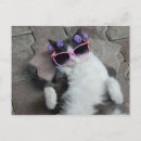 Recherche de diva cartes postales Pour tous