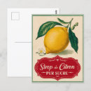 Recherche de botanique vintage cartes postales Fruit