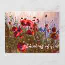 Recherche de pavot bleu cartes postales Rouge