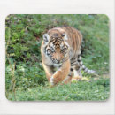 Zoek naar tijger mousepad muismatten Sneeuw