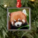 Recherche de panda rouge ornements Pandas