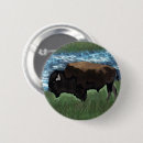 Recherche de bisons de buffle badges Américain