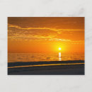 Zoek naar florida sinaasappels posters briefkaarten Vogel