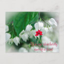 Recherche de uniques cartes postales Nature