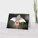 Zoek naar roze orchidee kaarten Fotografie