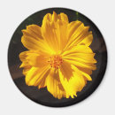 Recherche de macro de fleur photographie Jardin
