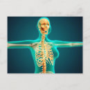 Zoek naar rib briefkaarten Skelet