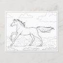 Recherche de galoper cartes postales Poney
