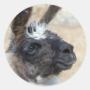 Recherche de fainéant autocollants Animal