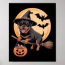 Zoek naar rottweilers posters Vintage
