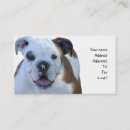 Recherche de bouledogue français cartes visite Chiot