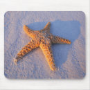 Recherche de sable blanc tapis souris Nature