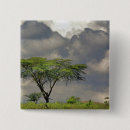 Zoek naar acacia buttons Cloud