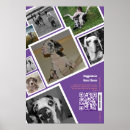 Recherche de images de chien posters Pour eux