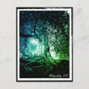 Recherche de hêtre cartes postales Voyage