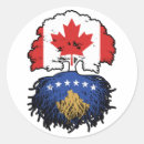 Zoek naar vlag kosovo stickers Kosovar